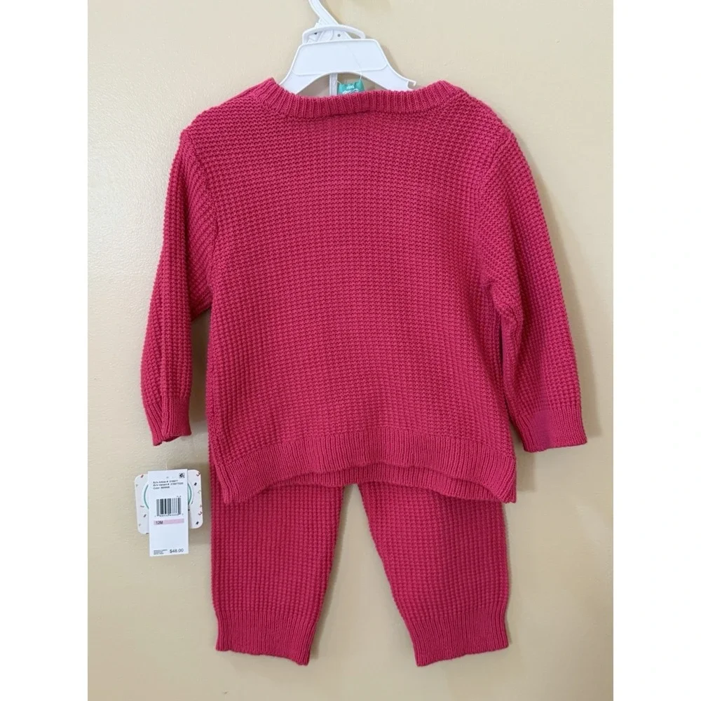 Disney Baby 2-Piece Infant Girls Minnie Mouse Pink Sweater & Pants Set 12M NWT